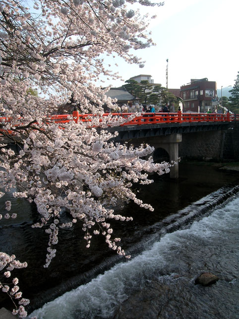 c0078410_23532227.jpg