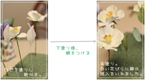 セラフィオーレ 蝋の花 Mein Alltagsleben カメラとおでかけ セラフィオーレ 蝋の花 Mein Alltagsleben カメラとおでかけ