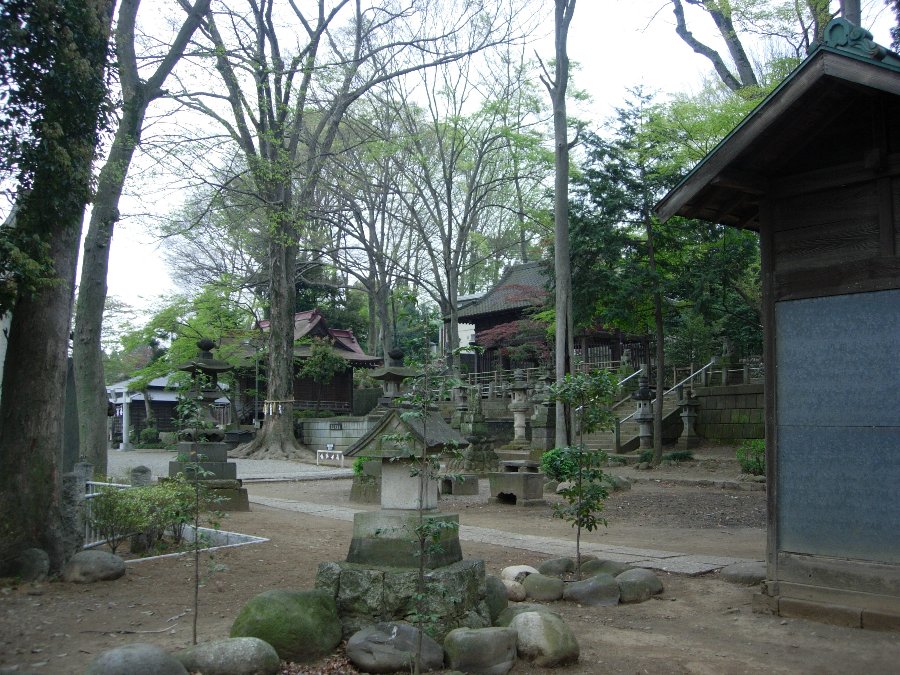 c0155211_8115244.jpg