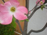 c0116312_22504214.jpg