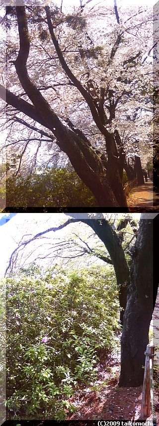 c0156212_2182257.jpg