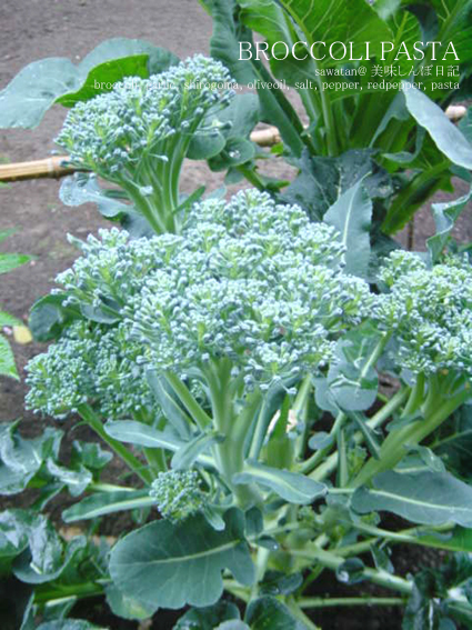 f0070713_14492561.jpg