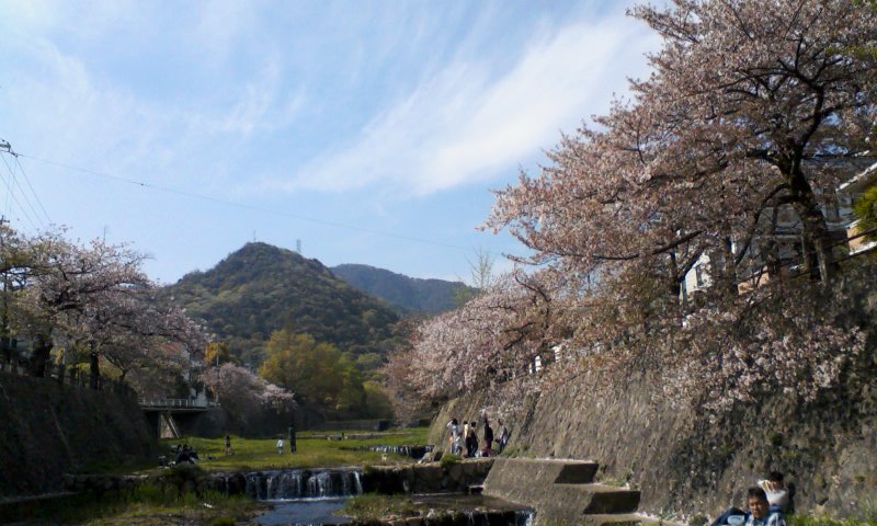 f0126518_1955488.jpg