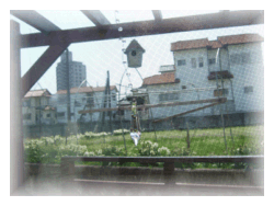 c0111021_22561580.gif