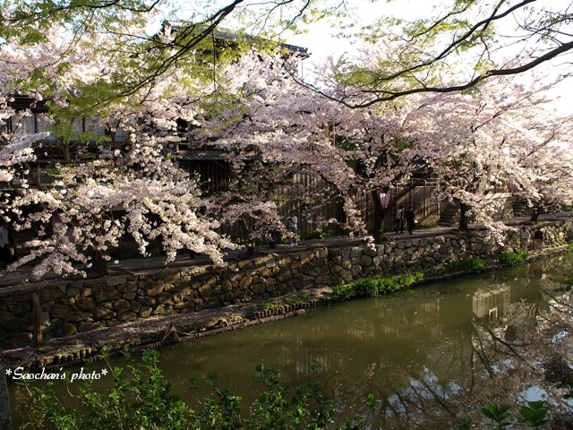 c0157624_2055111.jpg