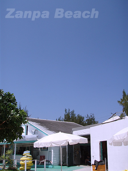 d0107725_17361077.jpg