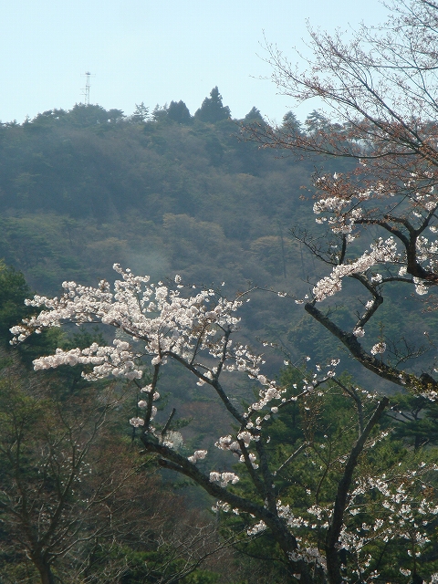 大谷記念美術館　箕面のお葉波_b0069630_191559.jpg