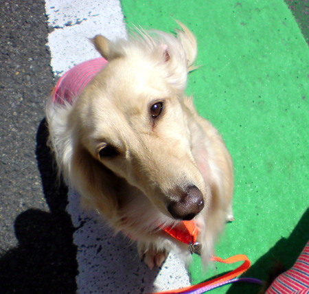 c0117831_2093270.jpg