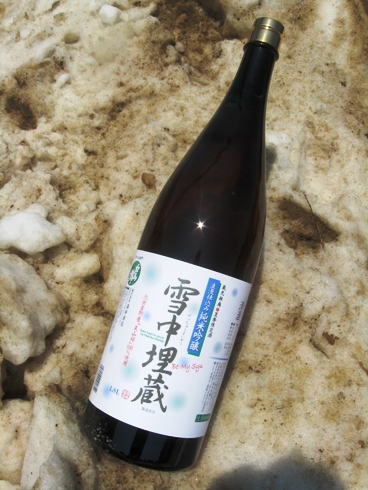 白馬錦・雪中埋蔵掘り起こし作業!_b0140235_0281671.jpg