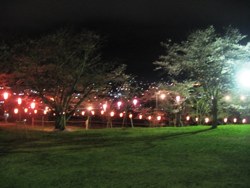 桜が咲き出しました!_b0140235_21461434.jpg