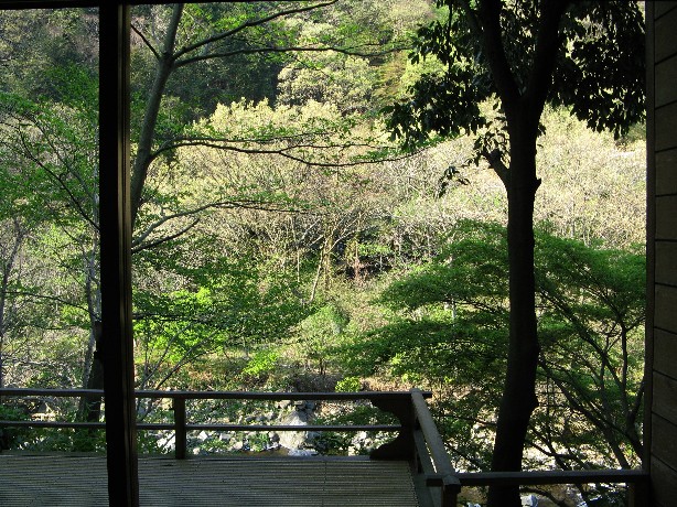 花の季節に「桜庵」に泊る_c0051938_8264596.jpg