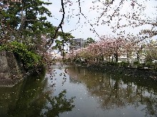 花の季節に「桜庵」に泊る_c0051938_8324324.jpg