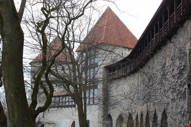 c0153740_5264141.jpg