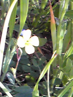 c0180841_22514755.jpg