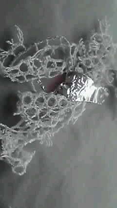 d0129646_1126348.jpg