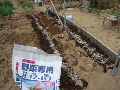 \'09 長芋・自然薯パイプ栽培 その2_c0063348_653395.jpg