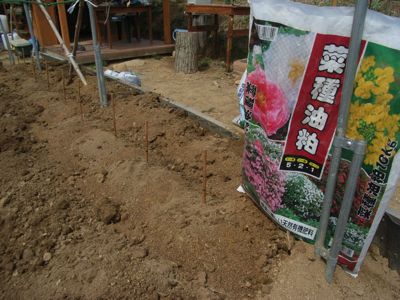 \'09 長芋・自然薯パイプ栽培 その2_c0063348_66749.jpg