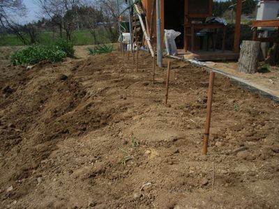 \'09 長芋・自然薯パイプ栽培 その2_c0063348_68823.jpg