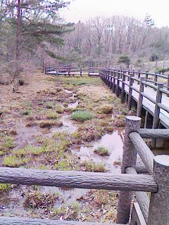 c0100148_827116.jpg