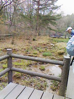 c0100148_8272028.jpg