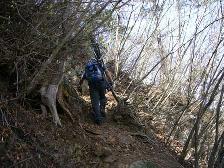 自転車(MTB)で御前山湯久保尾根_d0014748_20343766.jpg