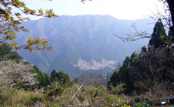 自転車(MTB)で御前山湯久保尾根_d0014748_20352588.jpg