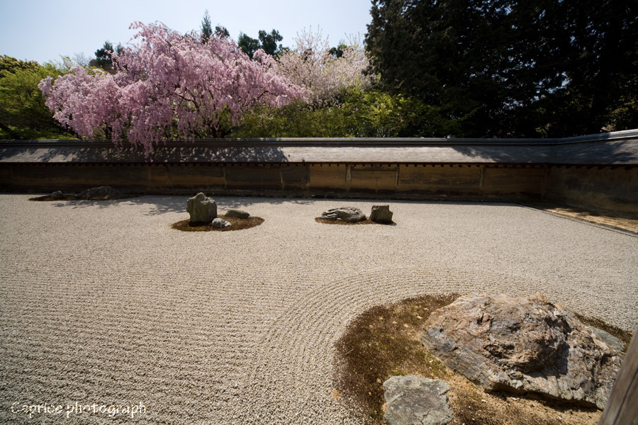 龍安寺_c0191355_23422757.jpg