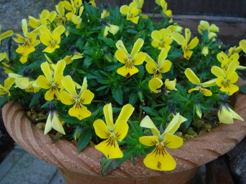 c0108460_15547100.jpg