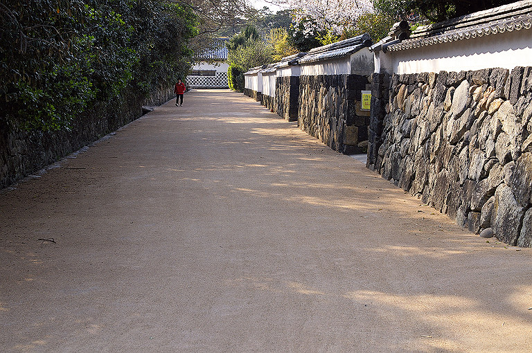 桜の山口ぶらり旅_f0205360_17203674.jpg