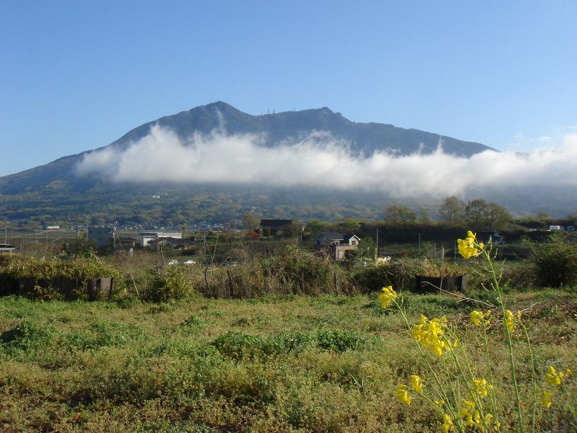 今日の筑波山_b0124462_2062476.jpg