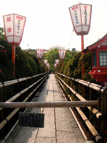 e0125762_0334768.jpg