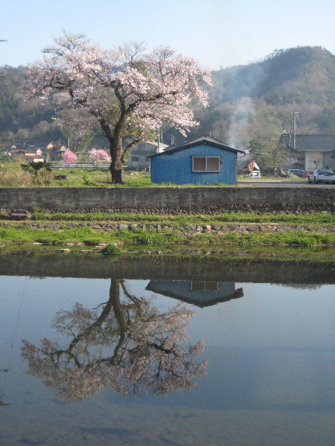 c0192970_23581742.jpg