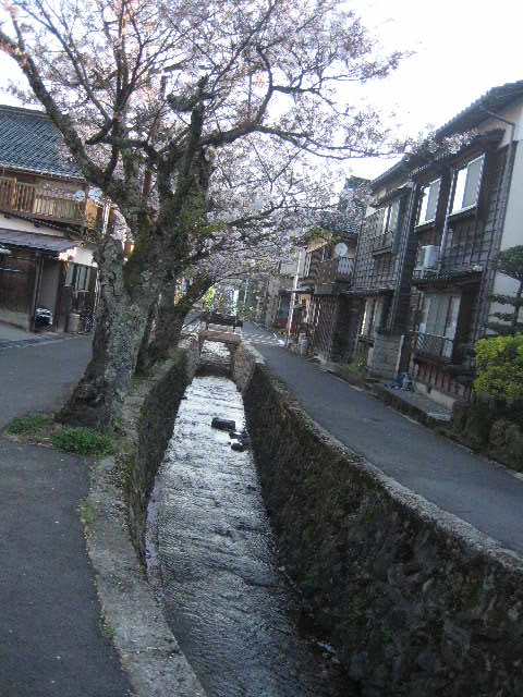 c0192970_2359237.jpg