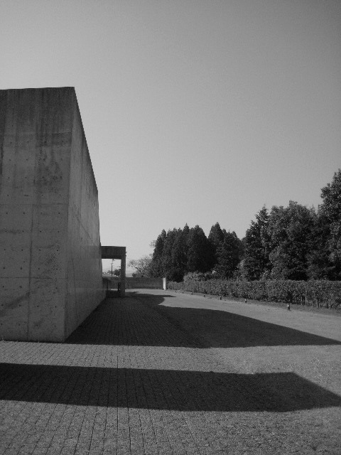 c0192970_9254638.jpg