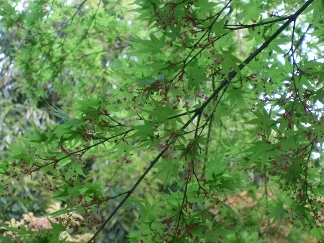 f0142070_18344631.jpg