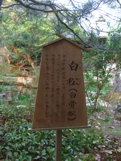 f0142070_18354288.jpg