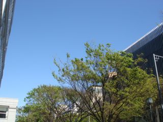 a0083571_1612484.jpg