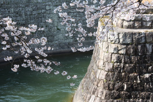 b0055171_23254861.jpg