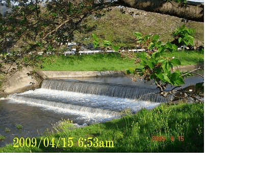 d0007071_155910100.gif