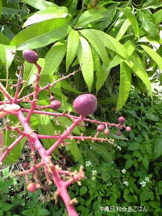c0139375_14133259.jpg