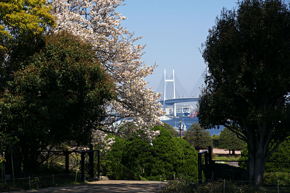 港が見える公園～横浜港界隈散歩_e0153076_845941.jpg