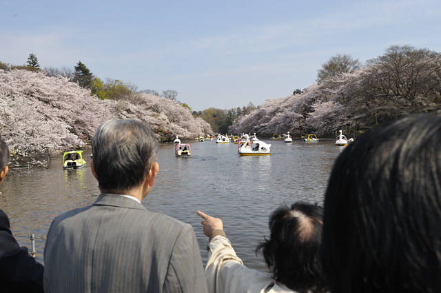 青春の後ろ姿を見ながら えええーっ ときどき写真日和