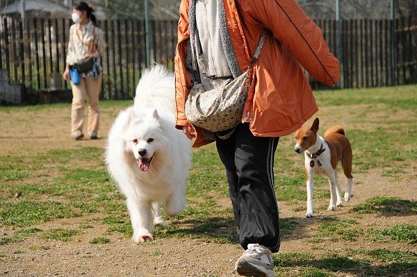 とぶき　200903 46_c0109780_16143165.jpg