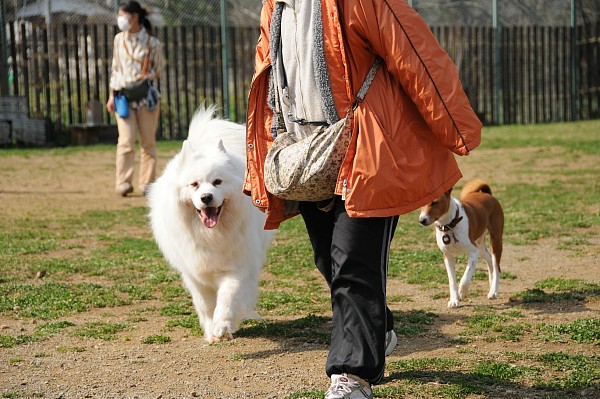 とぶき　200903 46_c0109780_1614386.jpg