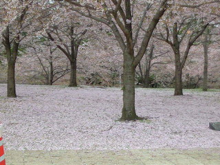 b0125384_20582567.jpg