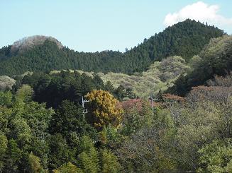 e0133087_10162910.jpg