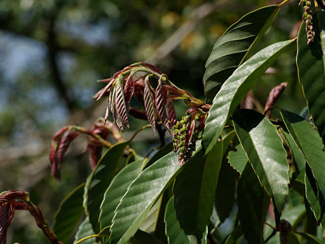 f0204094_863073.jpg