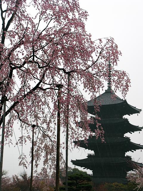 d0069495_231066.jpg