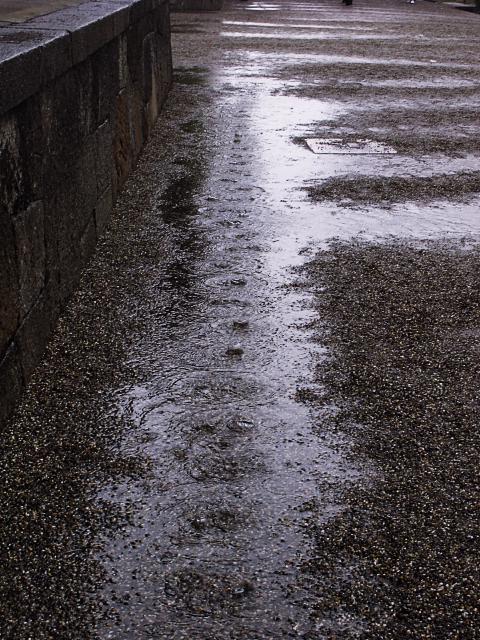 d0069495_2371134.jpg