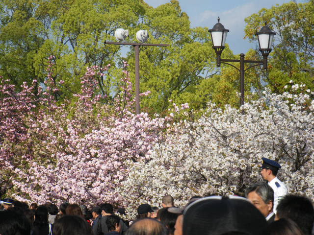 a0050302_50539.jpg